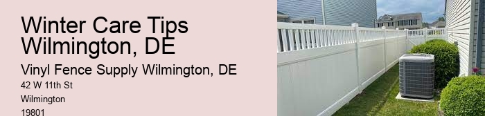 Winter Care Tips Wilmington, DE